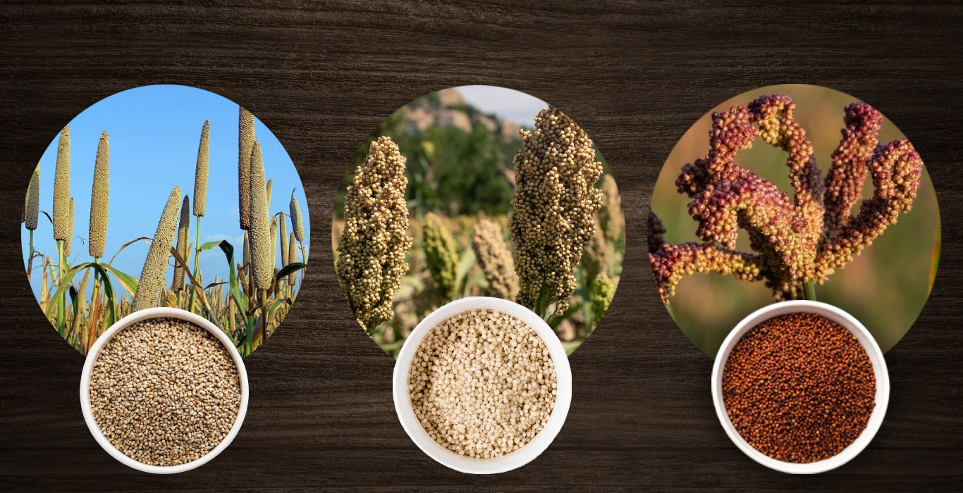 How is India celebrating the Millet Year 2023?