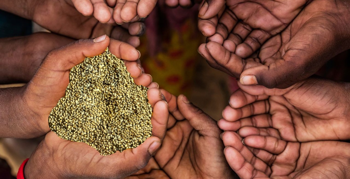 Will including millets in diet solve global hunger?