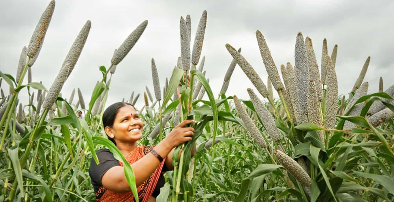 Will millet year bring good news for farmers of India?