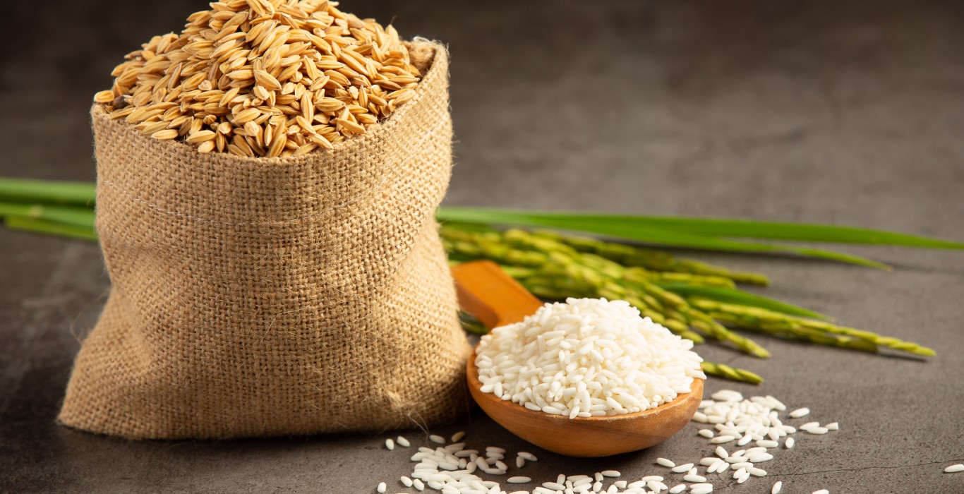 Varagu Rice and its health benefits that you should know about