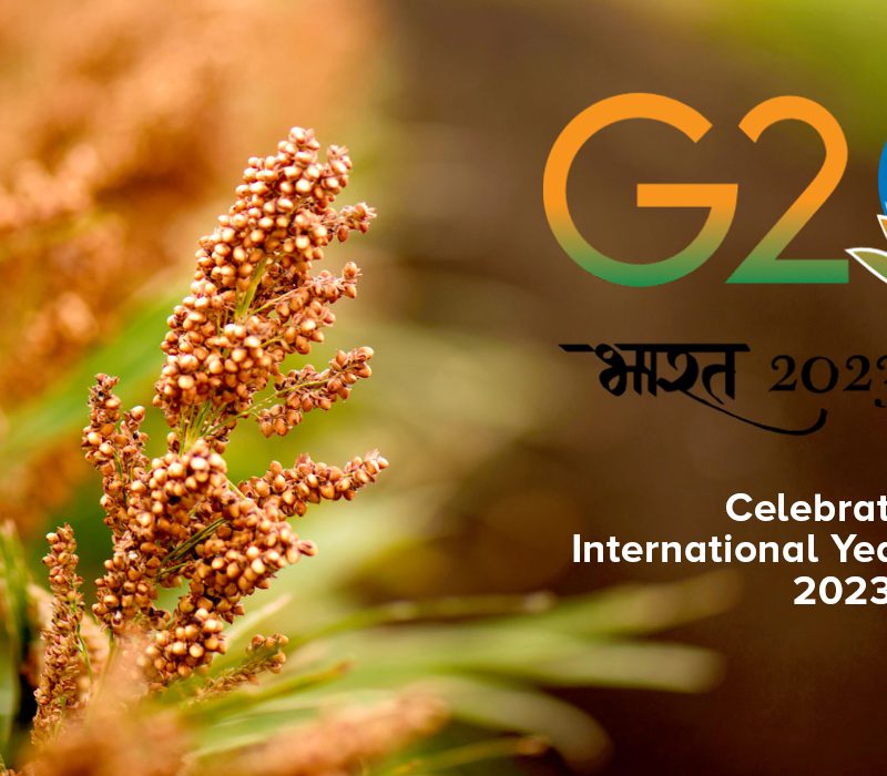 How is India leveraging G20 presidency to promote millets