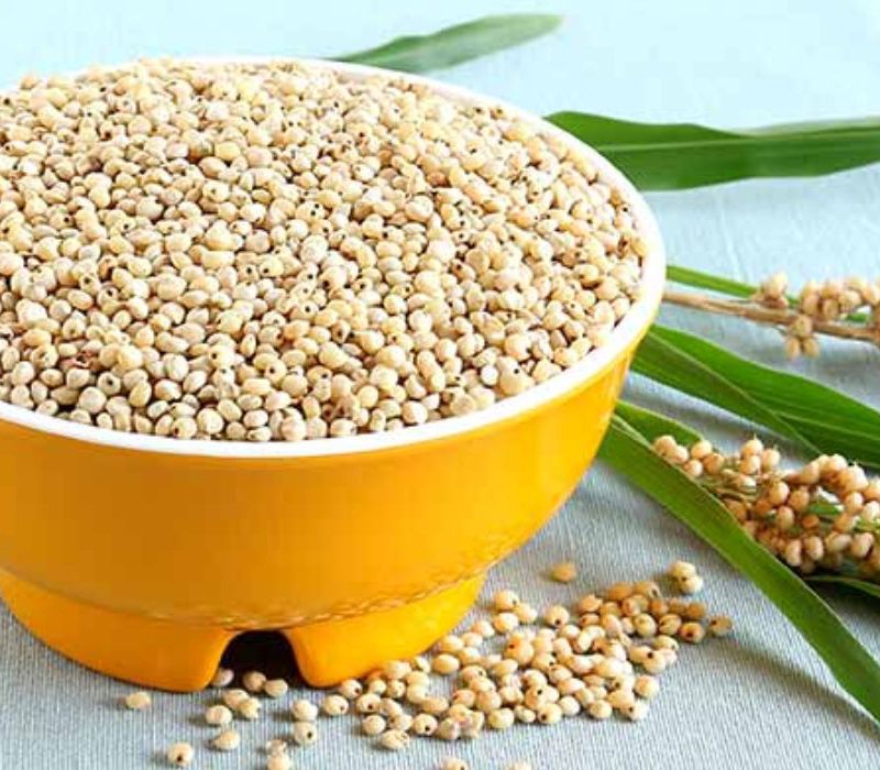 Know your Indian superfood -Jowar or Sorghum,Health benefits, recipes and much more!